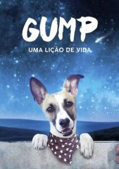 Gump – Uma Lição de Vida WEB-DL 1080p Dual Áudio